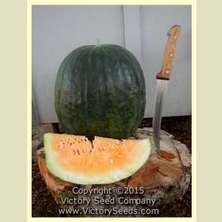 Victory Seeds Marby's Yellow Watermelon